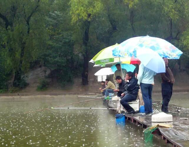 想在雨季顺利钓鱼？这些技巧必须掌握！